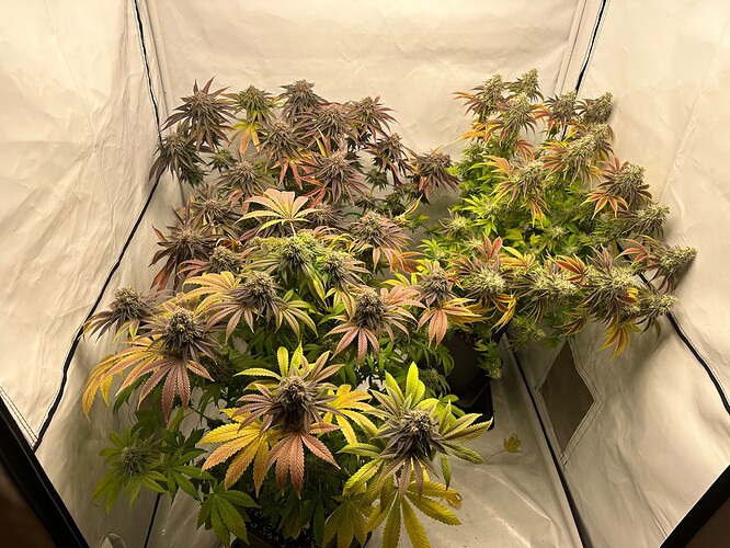 Growreport Bild 19