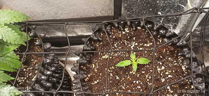 IMG-20230927-WA0004