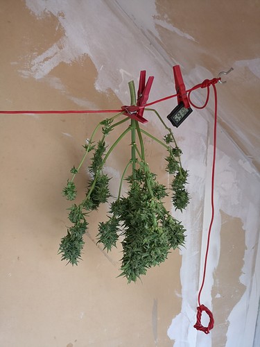 Growreport Bild 6