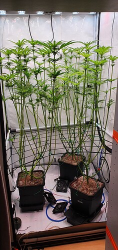 Growreport Bild 4