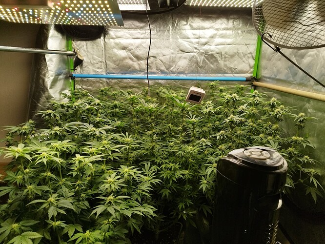 Growreport Bild 10