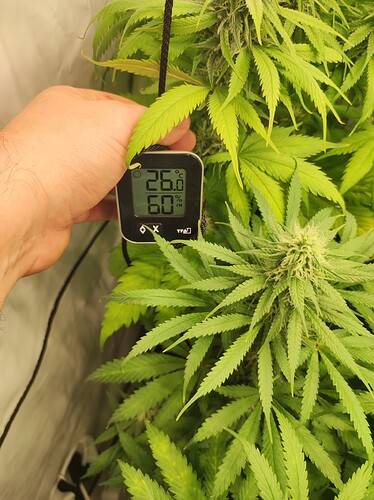 Growreport Bild 1