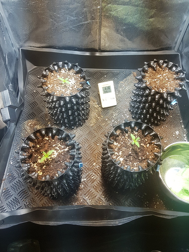 Growreport Bild 11