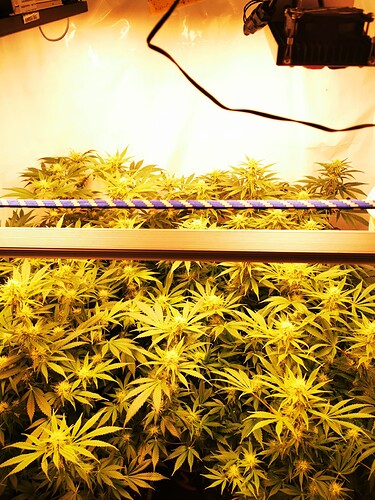 Growreport Bild 10