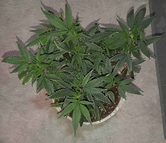Growreport Bild 19