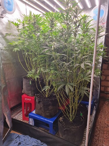 Growreport Bild 23