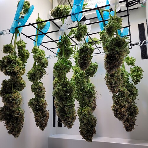 Growreport Bild 10