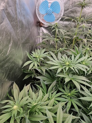 Growreport Bild 10