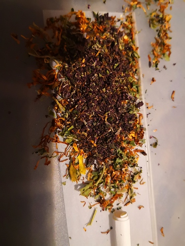 Growreport Bild 1