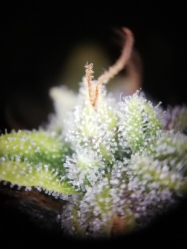 GG#1_240108-2