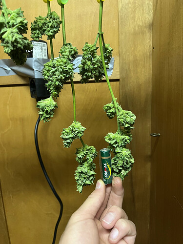 Growreport Bild 24