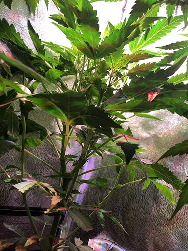 Growreport Bild 24