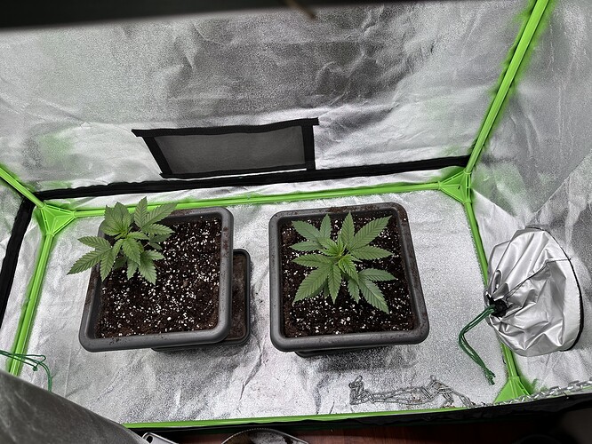 Growreport Bild 10