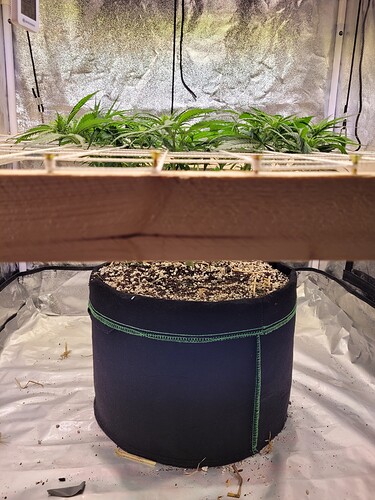 Growreport Bild 8