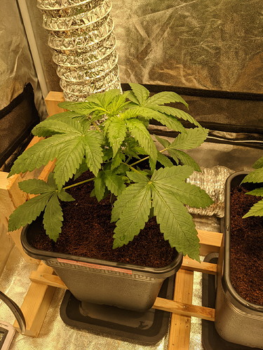 PXL_20210801_103232320 - Kopie