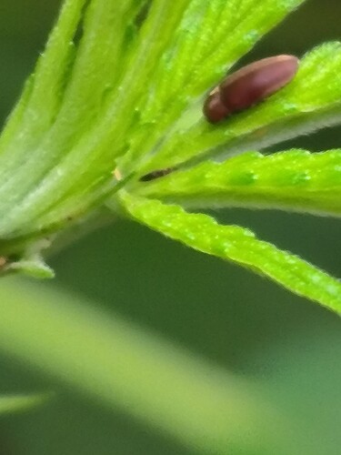 Growreport Bild 18