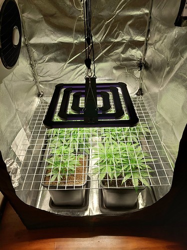 Growreport Bild 16