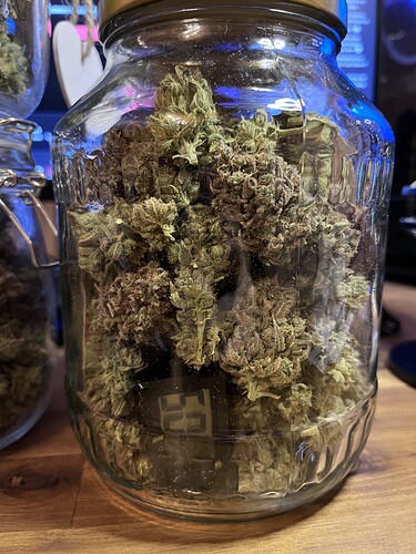 Growreport Bild 11