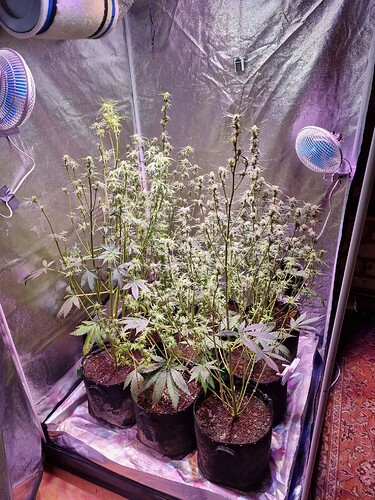 Growreport Bild 8
