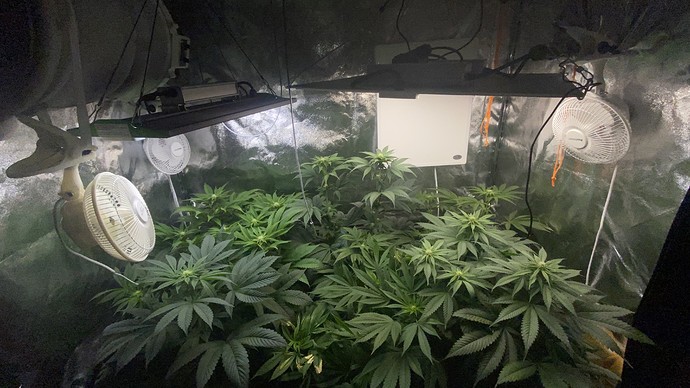 Growreport Bild 5