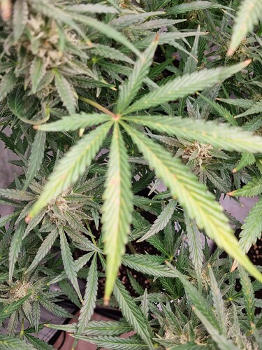 Growreport Bild 11