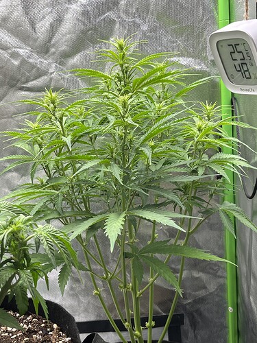 Growreport Bild 8