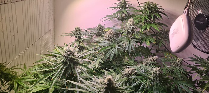 Growreport Bild 12