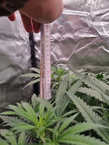 Growreport Bild 13