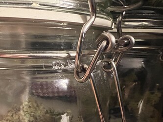 Growreport Bild 1
