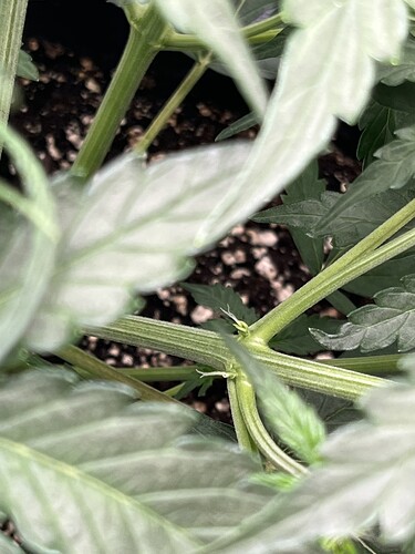 Growreport Bild 24