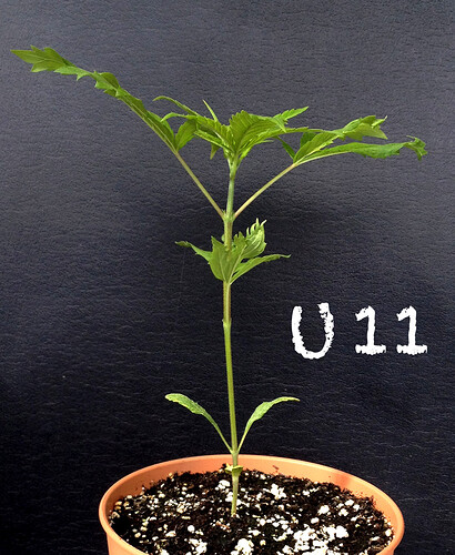 Growreport Bild 16