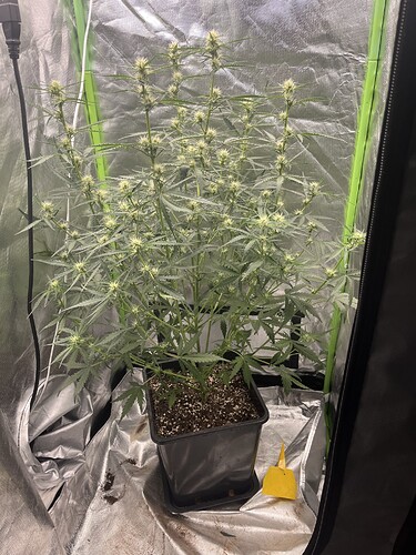 Growreport Bild 13