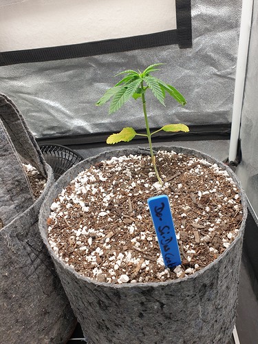 Growreport Bild 9