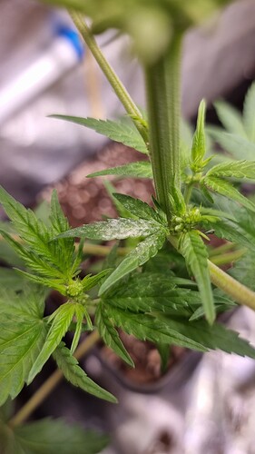 Growreport Bild 5
