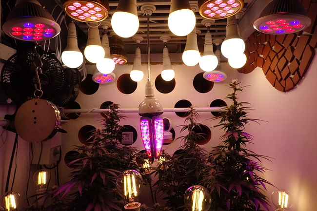 Growreport Bild 15