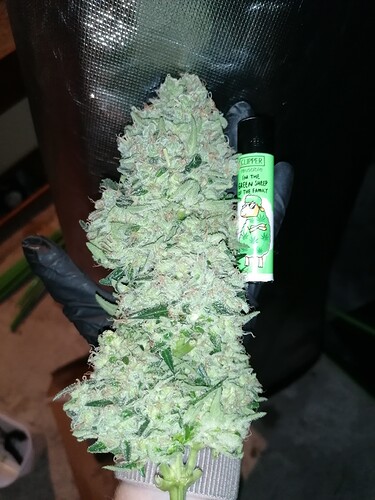 Growreport Bild 18