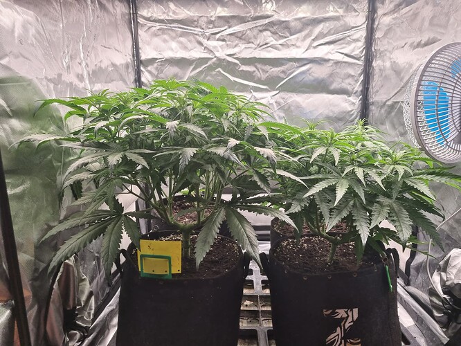 Growreport Bild 13