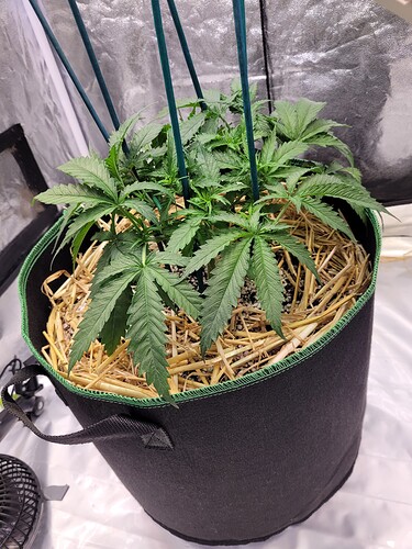 Growreport Bild 2