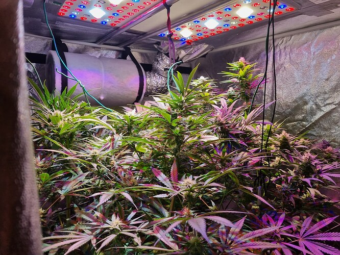 Growreport Bild 21