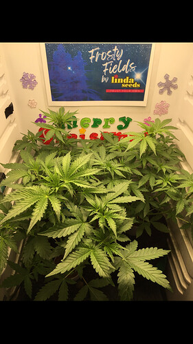 Growreport Bild 14