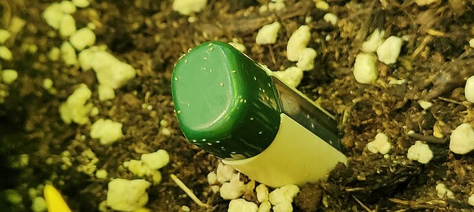 Growreport Bild 2