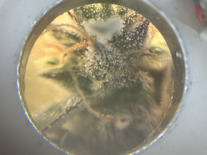 Growreport Bild 11