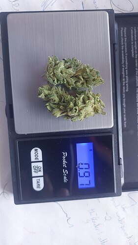 Growreport Bild 24
