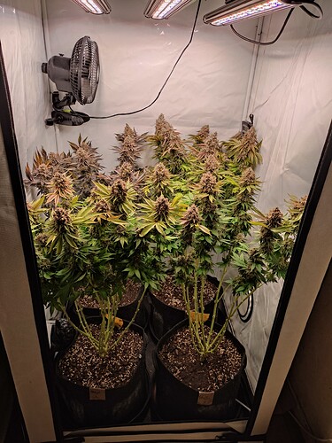Growreport Bild 2