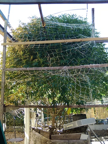 IMG_20200820_080652