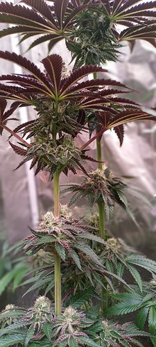 20220106_123623