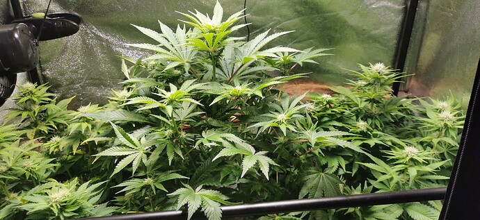 Growreport Bild 12