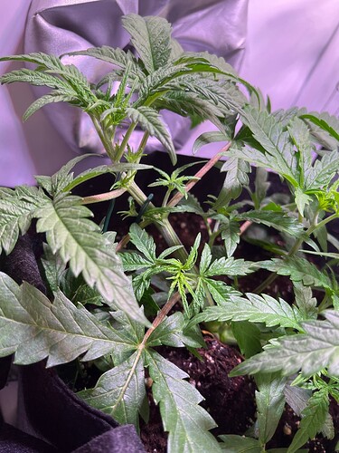 Growreport Bild 12