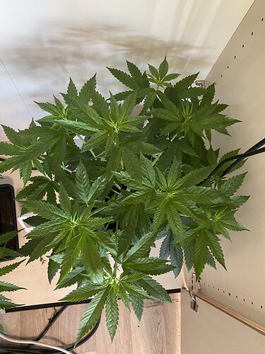 Growreport Bild 8