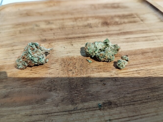 Growreport Bild 7